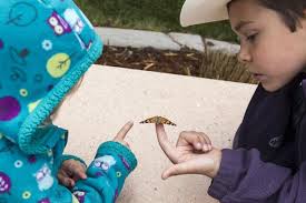 Butterflies, doves help community remember young ones we've lost
