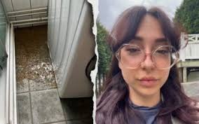 De lever i stanken av kloak och hundbajs