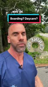 What you need to know if you're going to board or kennel your dog. #do...