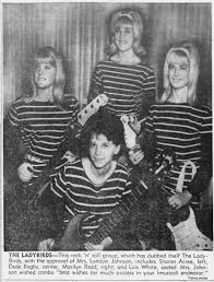 The ladybirds
