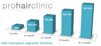 regrowth phase after a hair transplantation prohair clinic