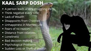 Kaal Sarp Dosh Effects Archives -