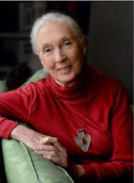 Elizabeth Ann Phipps