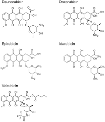 Image result for Valrubicin