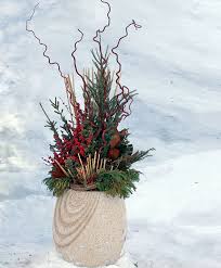 Heucheras stay looking good through winter. 6 Winter Container Ideas Finegardening