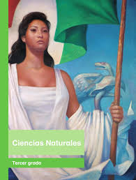 Paco el chato es una web dirigida para niños y niñas en edades comprendidas de 5 a 12 anos, en la cual podemos seleccionar los diferentes grados educativos que. Paco El Chato Respuestas Primaria Tercer Grado Ciencias Naturales
