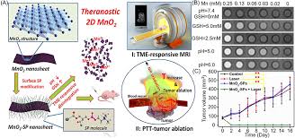 A depolarizer such as manganese dioxide is used to overcome polarization in a simple cell. Manganese Oxide Nanoparticles As Mri Contrast Agents In Tumor Multimod Ijn