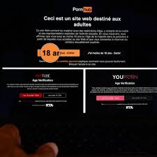 Youporn and Pornhub suspend access in France from Wednesday | Luxembourg  Times