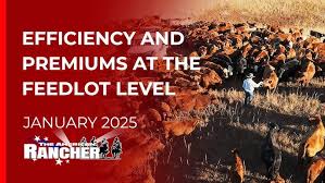 Meet Superior Reps Chris Brookman and Roger Nygaard