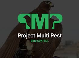 With a team of different birds bred and trained specifically for the use of pest bird management and a team of fully trained falconers, we can provide you with a highly cost. Bird Control London Falconry For Pest Pigeons Seagulls
