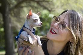 Meet Tony Hawk, the puppy who fell from the sky after being dropped by a  hawk