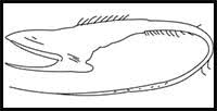 How To Draw Cartoon Eels Realistic Eels Drawing Tutorials Drawing How To Draw Eels Drawing Lessons Step By Step Techniques For Cartoons Illustrations Drawing tutorials of gulper eel. how to draw cartoon eels realistic