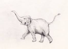 Like comment share and subscribe to my channel for more such videospart 2 soon subscribe to my channel for latest mehndi designs and beautiful patterns with. Elephant With Trunk Up Drawings Google Search Elephant Drawing Elephant Tattoos Elephant Sketch