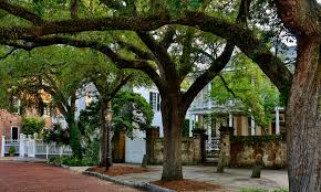 1 bedroom $1,177 to $1,330. 500 Charleston Vacation Rentals Apartments And Houses Airbnb