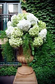 Plants Are The Strangest People Hydrangea Urn Arrangement Hydrangea Arrangements Hydrangea Flower Arrangements Hydrangea Flower