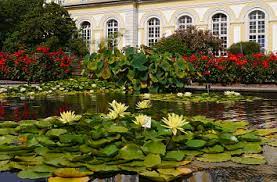 Botanischer garten berlin öffnet gewächshäuser am 14. Quermania Bonn Poppelsdorfer Schloss Botanischer Garten Botanische Garten Mineralogisches Museum