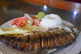 We would like to show you a description here but the site won't allow us. La Feria Del Orinoco O De La Sapoara Ciudad Bolivar Y Soledad Venezuela Steemit