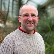 Professor Michael F Fay