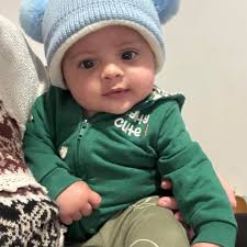 Can you spot the Golden in the first pic?