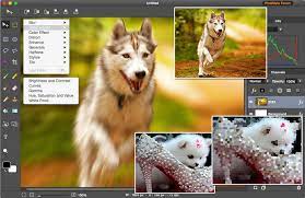 $100 off at amazon we may earn a commission. How To Download Paint Net For Mac Free Version By Macpainttool On Deviantart