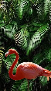 ❤ get the best cool animals wallpapers on wallpaperset. Animal Wallpaper 4k Cute Backgrounds Best Mobile Wallpapers