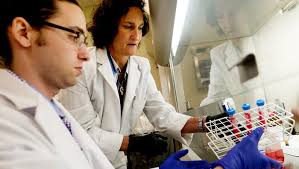 Experiments look into affects of radiation