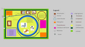 By sadaf walliyani 1282 views. Zoo Cell Analogy By Jaylene Waite