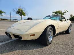 Image result for Beige 1979 GM