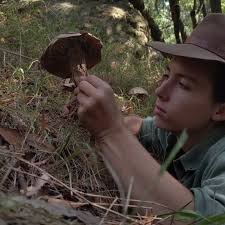 2024 FFF Spotlight: Gold of the Plateau by Miriam Follin (@miriam.follin)  This mini-doc follows foragers in the mountains of China as they seek out  the prized medicinal mushroom Cordyceps growing from buried