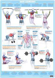 Seated lat bar row 10. Https Www Ebay De Itm 183051186430