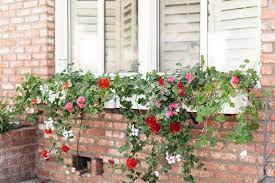 There are so many reasons to use liners, especially in places where the weather conditions are in the extremes. 9 Diy Window Box Ideas For Your Home