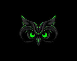  22 Owl Transfers Ideas Owl Owl Tattoo Owls Drawing