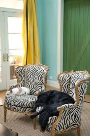 Shop with afterpay on eligible items. Suzie Marmalade Interiors Just Like The Chairs Zebra Chair Eclectic Chairs Paint Colors Benjamin Moore