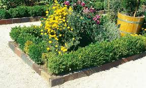 Beeteinfassung Selbst De Beeteinfassung Haus Und Garten Gartengestaltung Ideen