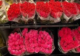 Grocery delivery service instacart offers delivery from costco , no membership required. Pre Order 50 Beautiful Roses For Under 40 Delivered