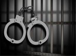 Currently, it is released for android, microsoft windows, mac and ios operating. Sushant Singh Death Ncb Arrests Regel Mahakal In Related Drugs Case