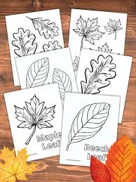 We've brought you some fall coloring pages for your kids. Fall Leaf Coloring Pages Perfect For Autumn Nature Inspired Learning
