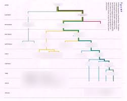 Primate Taxonomic Classification Diagram Quizlet