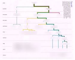 primate taxonomic classification diagram quizlet