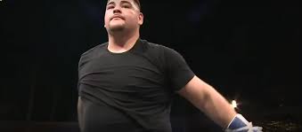 Former unified world heavyweight champion andy ruiz jr.and former wbc challenger chris arreola have come to an agreement to fight in late 2020. Andy Ruiz Jr To Fight In Early 2021 Starts Training With Reynoso Canelo Today Boxing News 24