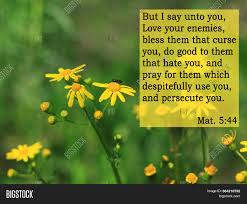 Of course we've all heard at some time in our life the verse from ecclesiastes about all is vanity; Bible Quotes On Yellow Image Photo Free Trial Bigstock