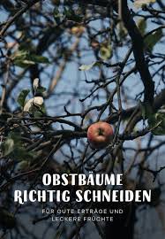 Alten Obstbaum Richtig Schneiden Verlosung Von Zwei Jahreskarten Die Pflanztastischen 4 Gartenblog Hauptstadtgarten Gartenblog Nutzgarten Anlegen Obst