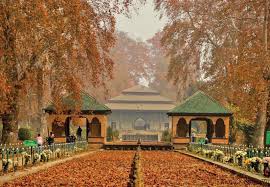 Need To Preserve Kashmir's Cultural Identity Amidst Globalization | Kashmir  Reader