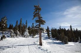 On december 25, 2014, the city saw 8.5 inches of new snowfall in one day—its third snowiest christmas on record. As Snow Fades California Ski Resorts Are Left High And Very Dry The New York Times