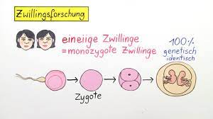 Zwillingsforschung Gene Und Umwelteinfluss Inkl Ubungen