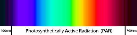 How Does Color Spectrum Affect Growing Weed Grow Weed Easy