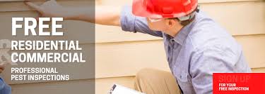 Pest diy vs professional blog contact. Pest Control Cape Cod Cape Cod Pest Pros