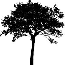 Maybe you would like to learn more about one of these? 9526 Free Vector Pine Tree Silhouette Public Domain Vectors