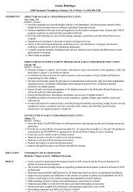 Top resume builder, build a free & perfect resume with ease. Skills For Early Childhood Education Resume
