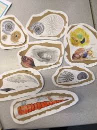 Pin By Apuski Duski On Evolution Art For Kids Sketch Book Dinosaur